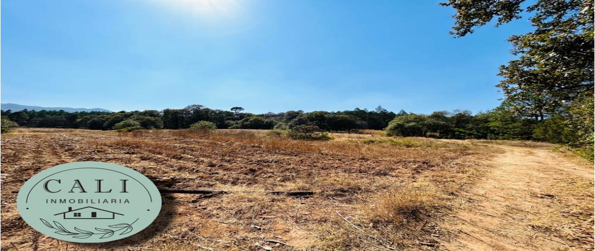 Foto de terreno habitacional en venta en  , el calvario, huasca de ocampo, hidalgo, 0 No. 03