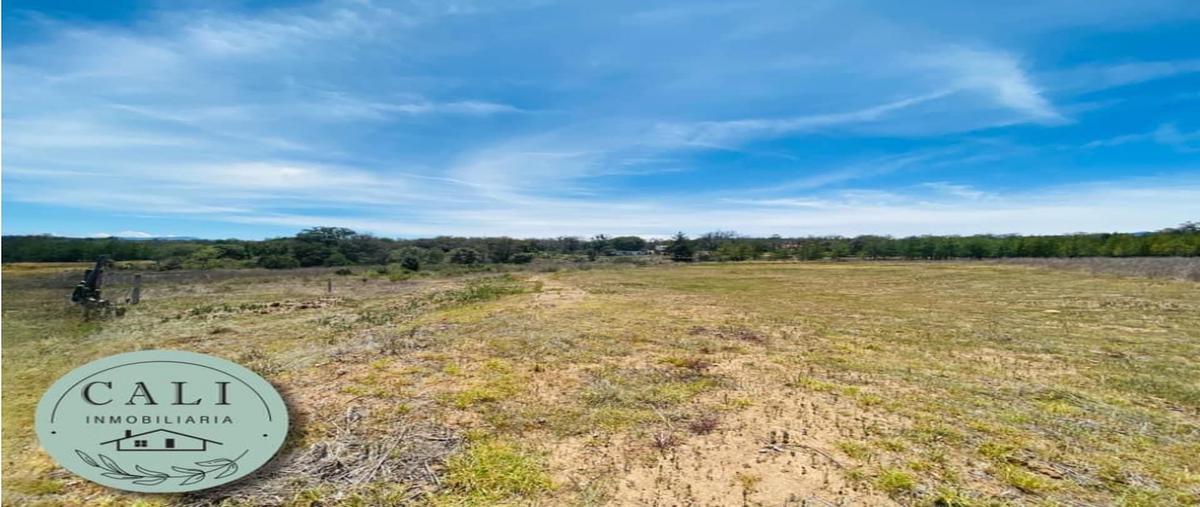 Foto de terreno habitacional en venta en  , el calvario, huasca de ocampo, hidalgo, 0 No. 04