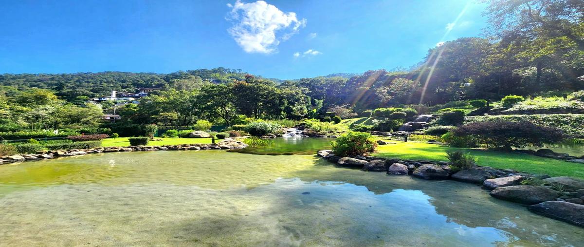 Foto de terreno habitacional en venta en  , el calvario, valle de bravo, méxico, 29479343 No. 03