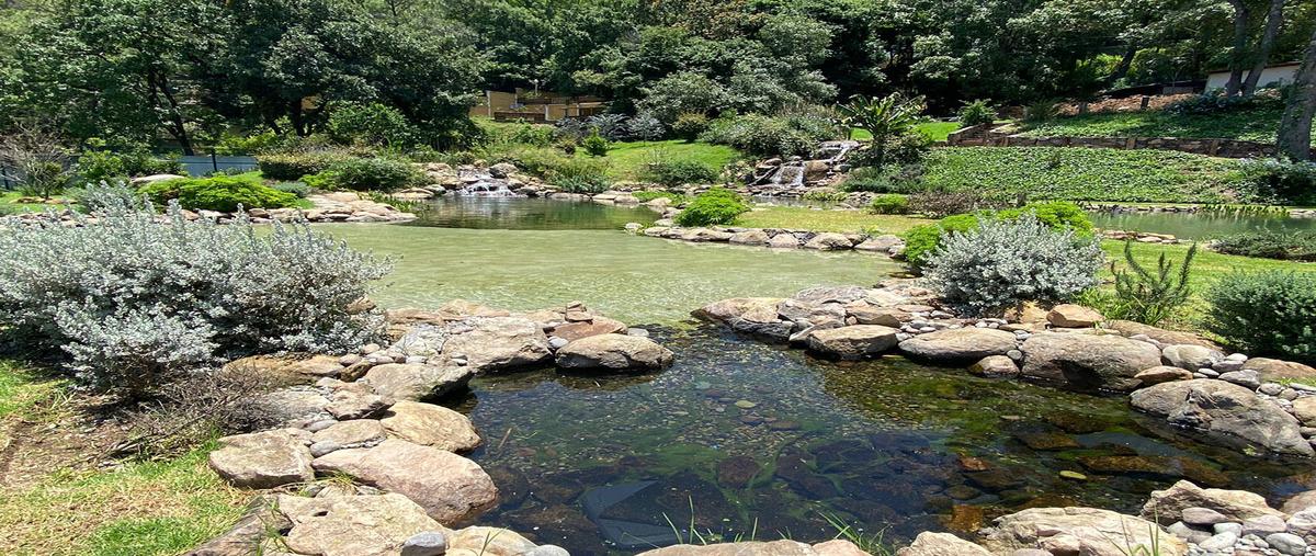 Foto de terreno habitacional en venta en  , el calvario, valle de bravo, méxico, 0 No. 05