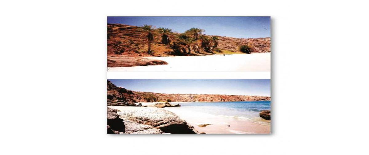 Foto de terreno habitacional en venta en  , el campanario, la paz, baja california sur, 19122399 No. 01