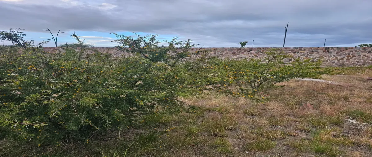 Foto de terreno habitacional en el campanario norte 1012, lomas del campanario ii, querétaro, querétaro, 0 foto 03 Foto de terreno habitacional en venta en el campanario norte 1012, lomas del campanario ii, querétaro, querétaro, 0 No. 03