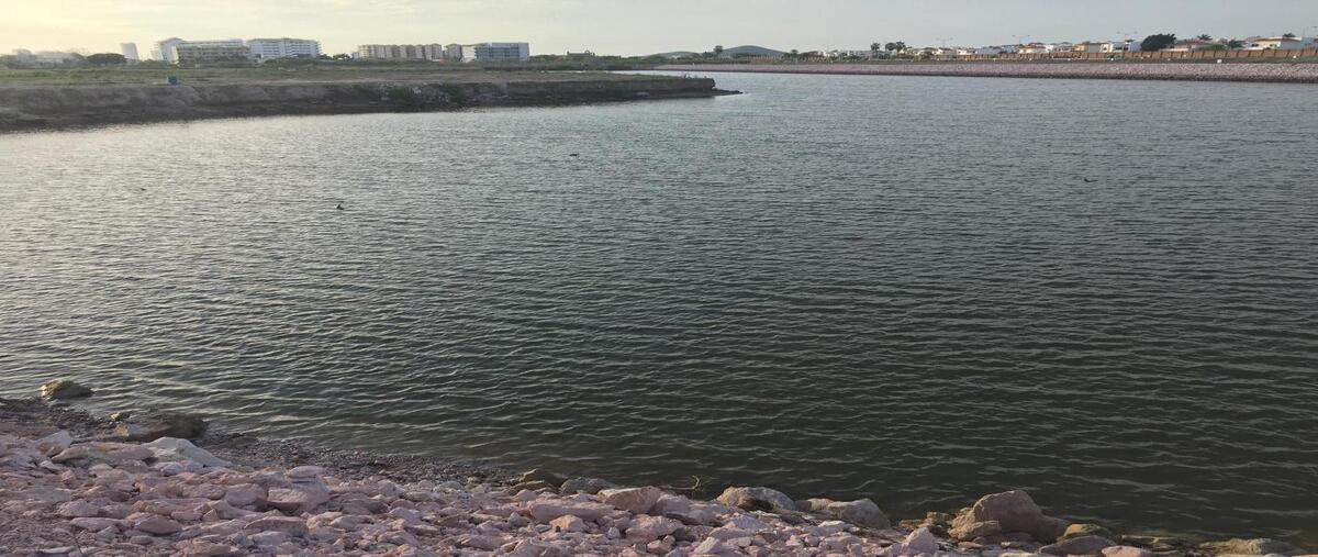 Foto de terreno habitacional en venta en el campeador , marina el cid, mazatlán, sinaloa, 29763259 No. 04