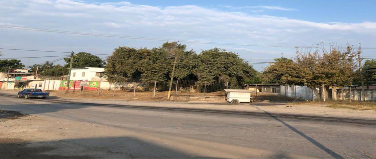 Foto de terreno habitacional en renta en  , el campo, tamuín, san luis potosí, 0 No. 03