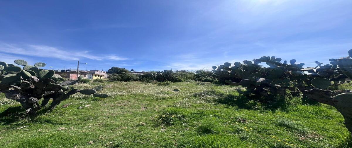 Foto de terreno comercial en venta en  , el capulín, amealco de bonfil, querétaro, 0 No. 03