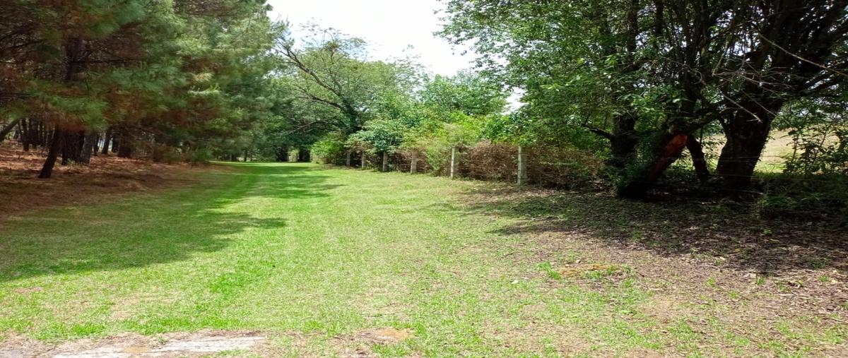 Foto de terreno habitacional en venta en  , el capulín primera sección, amanalco, méxico, 0 No. 04