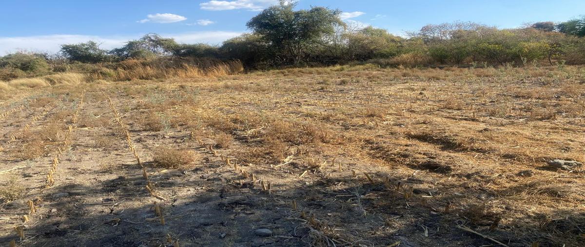 Foto de terreno habitacional en , el capulín, tlajomulco de zúñiga, jalisco, 0 foto 05 Foto de terreno habitacional en venta en , el capulín, tlajomulco de zúñiga, jalisco, 0 No. 05