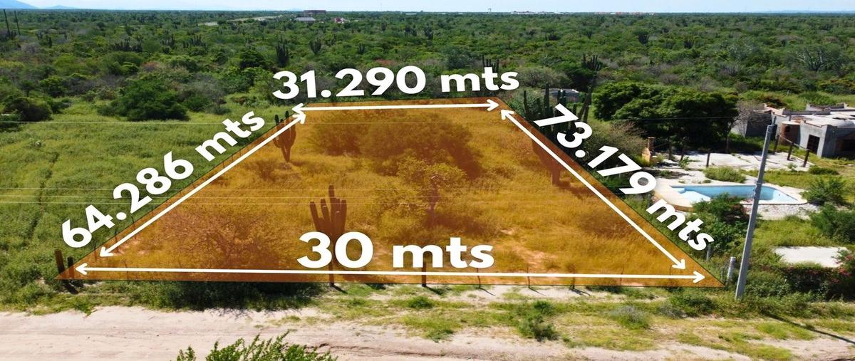 Foto de terreno habitacional en venta en  , el cardoncito, la paz, baja california sur, 30515181 No. 05