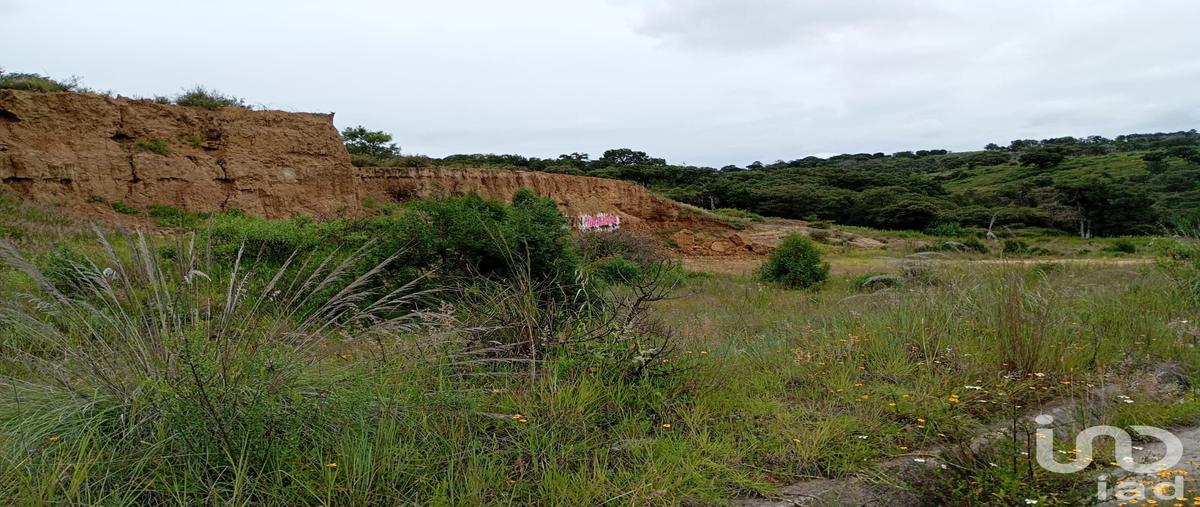 Foto de terreno habitacional en venta en el carmen , alpotzonga, ixtacuixtla de mariano matamoros, tlaxcala, 30268304 No. 04