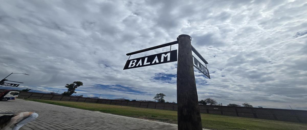 Foto de terreno habitacional en venta en  , el carmen, atlixco, puebla, 0 No. 03