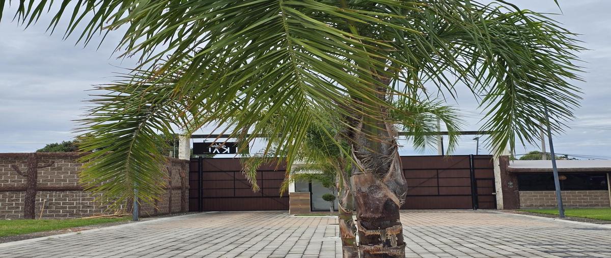 Foto de terreno habitacional en venta en  , el carmen, atlixco, puebla, 0 No. 05