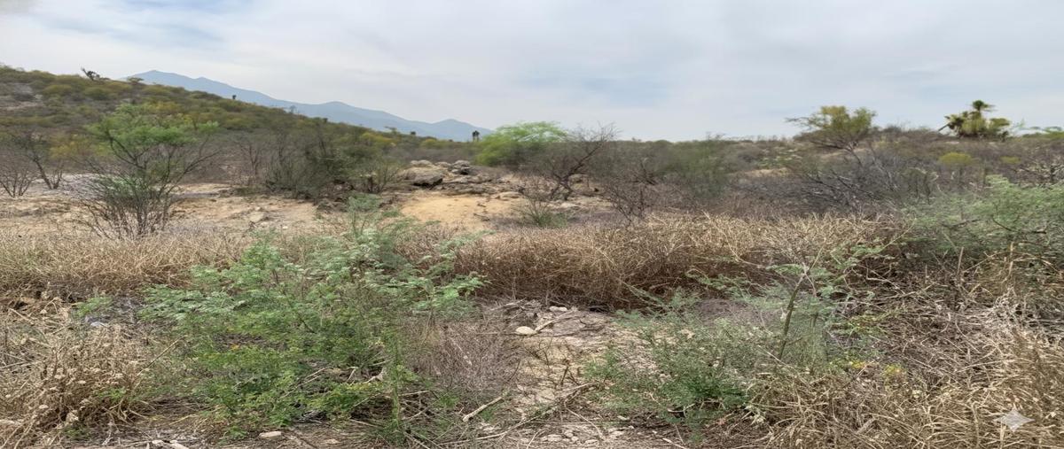 Foto de terreno habitacional en venta en  , el carmen, el carmen, nuevo león, 28948453 No. 05