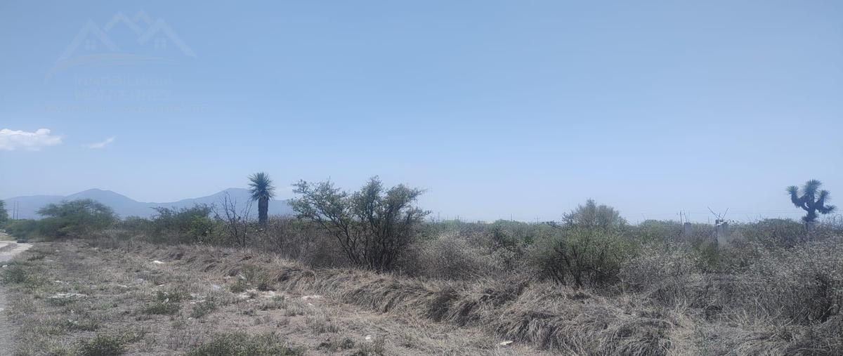 Foto de terreno habitacional en renta en  , el carmen, el carmen, nuevo león, 29826868 No. 03