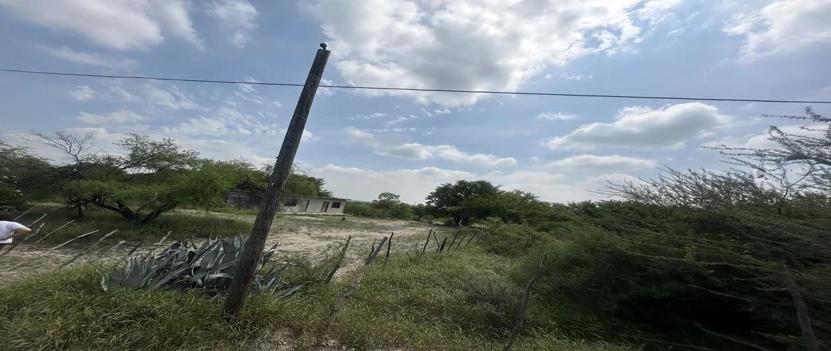Foto de terreno habitacional en venta en  , el carmen, el carmen, nuevo león, 31271517 No. 03