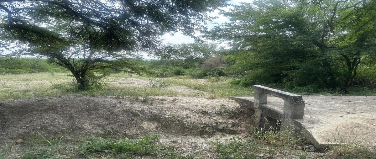 Foto de terreno habitacional en venta en  , el carmen, el carmen, nuevo león, 31271517 No. 05