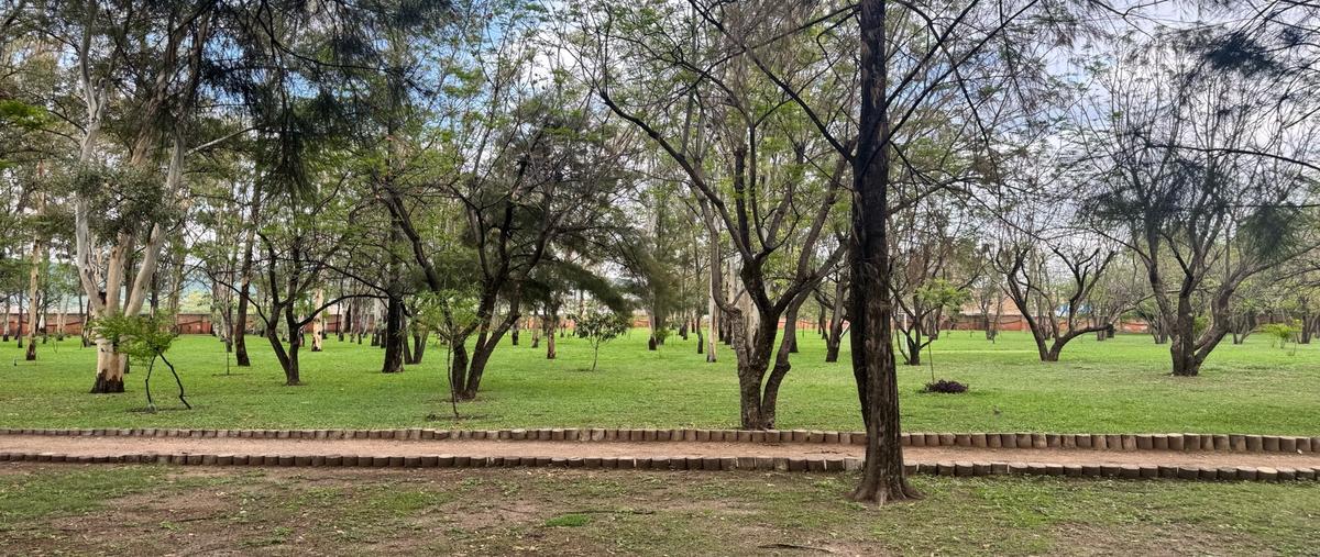Foto de terreno habitacional en venta en  , el carmen, león, guanajuato, 28102676 No. 05