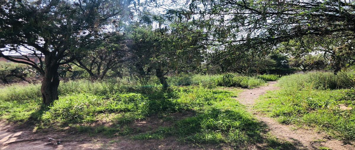 Foto de terreno habitacional en venta en  , el carmen, purísima del rincón, guanajuato, 24944084 No. 04