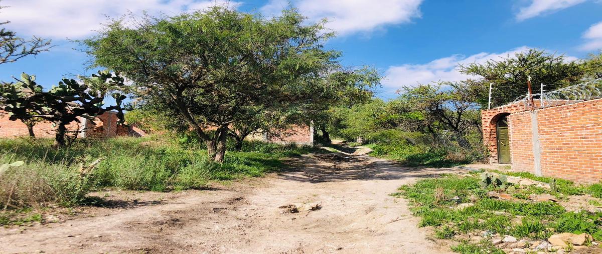Foto de terreno habitacional en venta en  , el carmen, purísima del rincón, guanajuato, 24944084 No. 05
