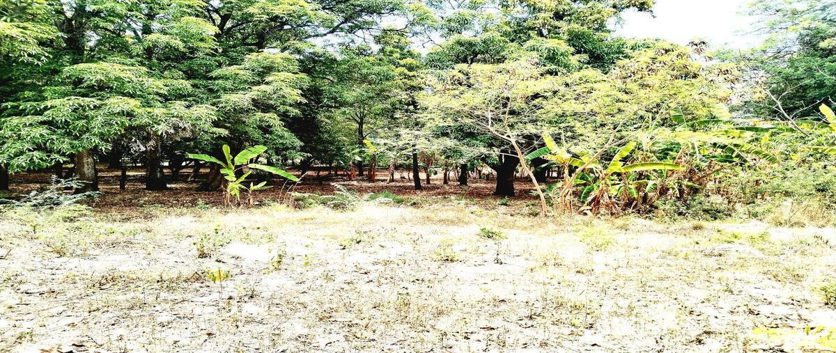 Foto de terreno habitacional en venta en  , el carmen, tuxtla gutiérrez, chiapas, 26503538 No. 03