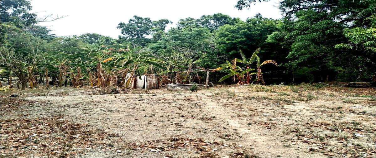 Foto de terreno habitacional en venta en  , el carmen, tuxtla gutiérrez, chiapas, 26503538 No. 05