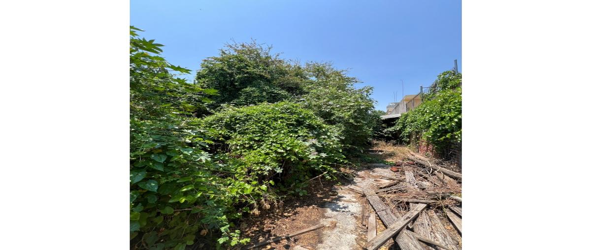 Foto de terreno habitacional en venta en  , el carmen, zamora, michoacán de ocampo, 0 No. 04