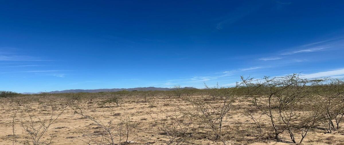 Foto de terreno habitacional en , el carrizal, la paz, baja california sur, 0 foto 02 Foto de terreno habitacional en venta en , el carrizal, la paz, baja california sur, 0 No. 02
