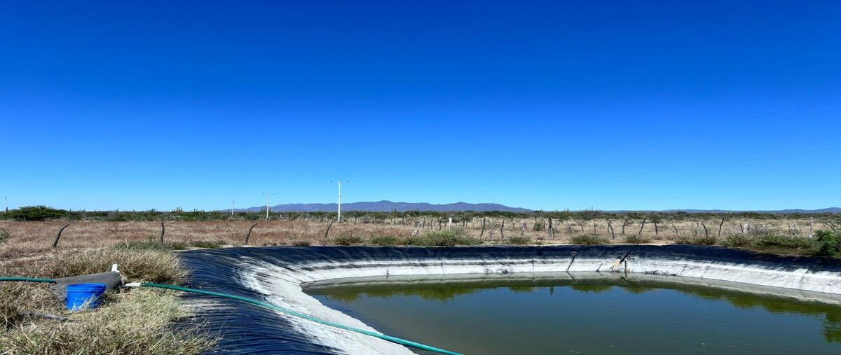 Foto de rancho en venta en  , el carrizal, la paz, baja california sur, 29447658 No. 04
