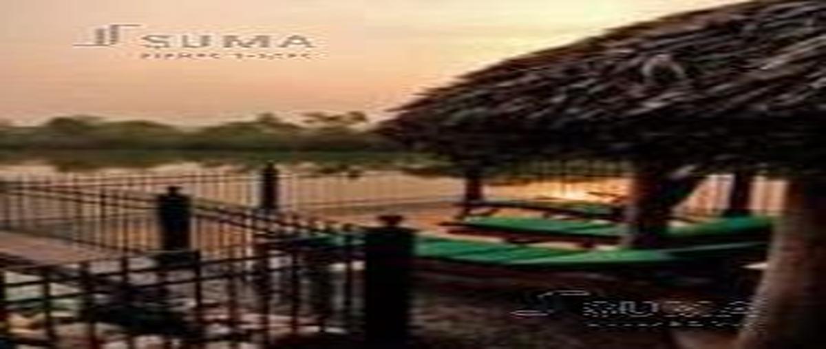 Foto de terreno habitacional en venta en  , el carrizal segundo, aldama, tamaulipas, 17507596 No. 05