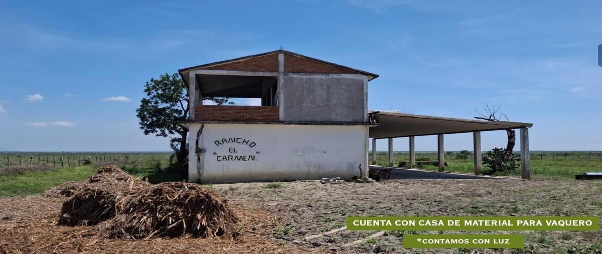 Foto de terreno habitacional en venta en  , el carrizal segundo, aldama, tamaulipas, 0 No. 03