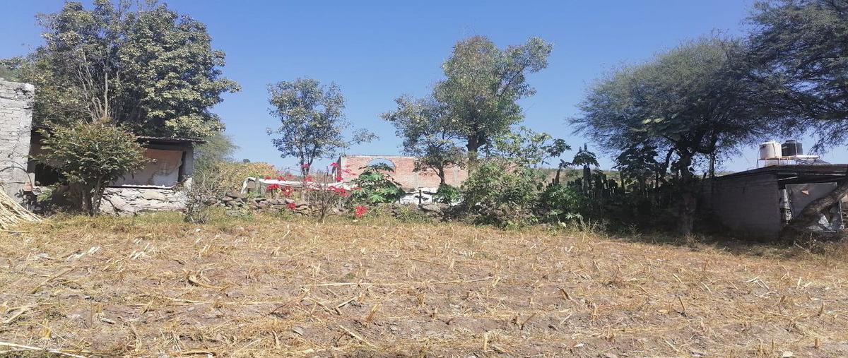 Foto de terreno habitacional en venta en el carrizal , tarimbaro, tarímbaro, michoacán de ocampo, 0 No. 03