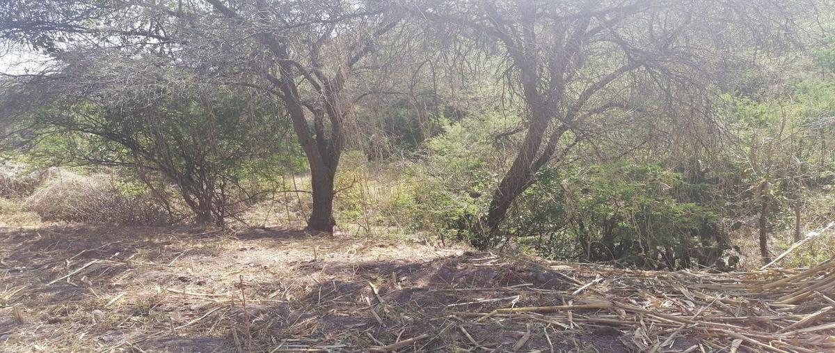 Foto de terreno habitacional en venta en el carrizal , tarimbaro, tarímbaro, michoacán de ocampo, 0 No. 04