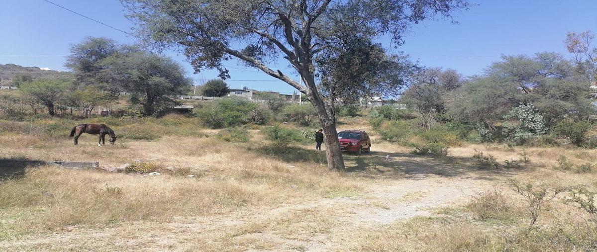 Foto de terreno habitacional en venta en el carrizal , tarimbaro, tarímbaro, michoacán de ocampo, 0 No. 05