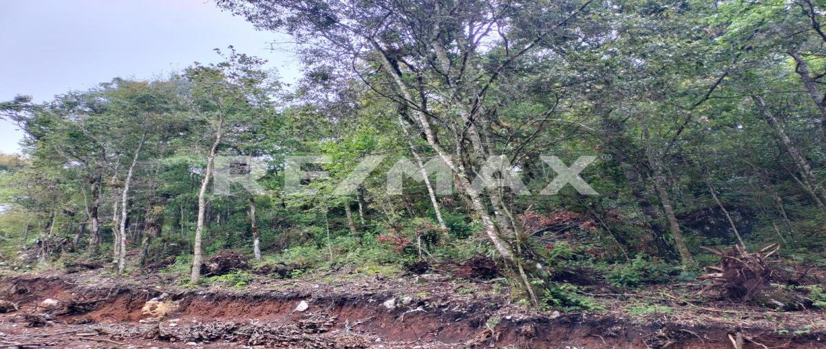 Foto de terreno habitacional en venta en el carrizalito , maría auxiliadora, san cristóbal de las casas, chiapas, 0 No. 03