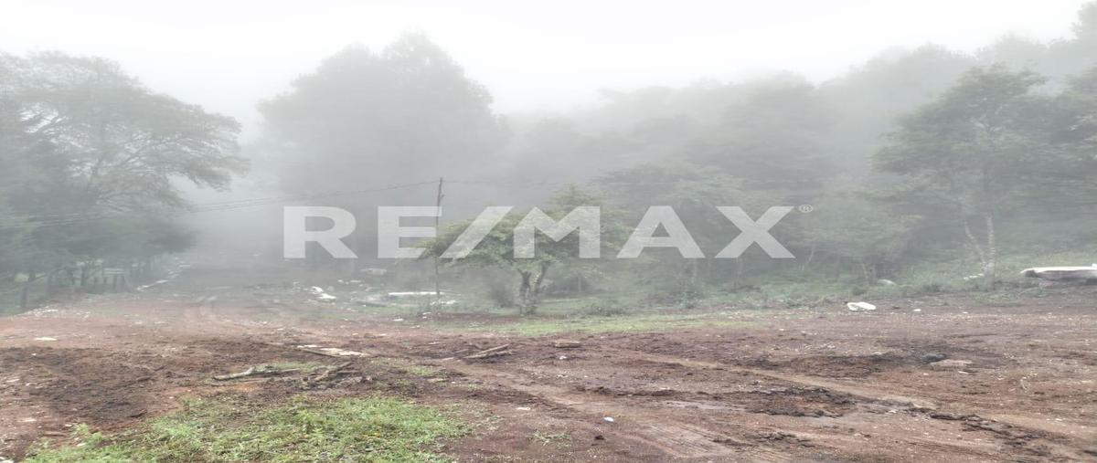 Foto de terreno habitacional en venta en el carrizalito , maría auxiliadora, san cristóbal de las casas, chiapas, 0 No. 05