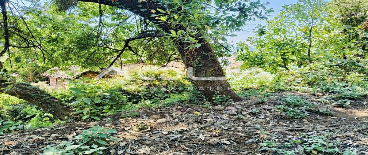 Foto de terreno habitacional en venta en el castellano , san antonio, valle de bravo, méxico, 29393251 No. 04