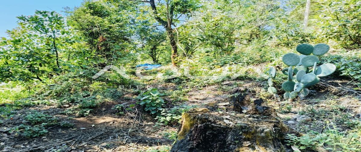 Foto de terreno habitacional en venta en el castellano , san antonio, valle de bravo, méxico, 29393251 No. 05