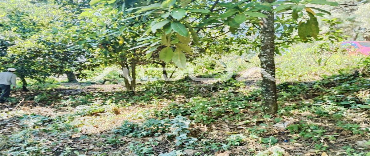 Foto de terreno habitacional en venta en el castellano , san nicolás tolentino, valle de bravo, méxico, 0 No. 03