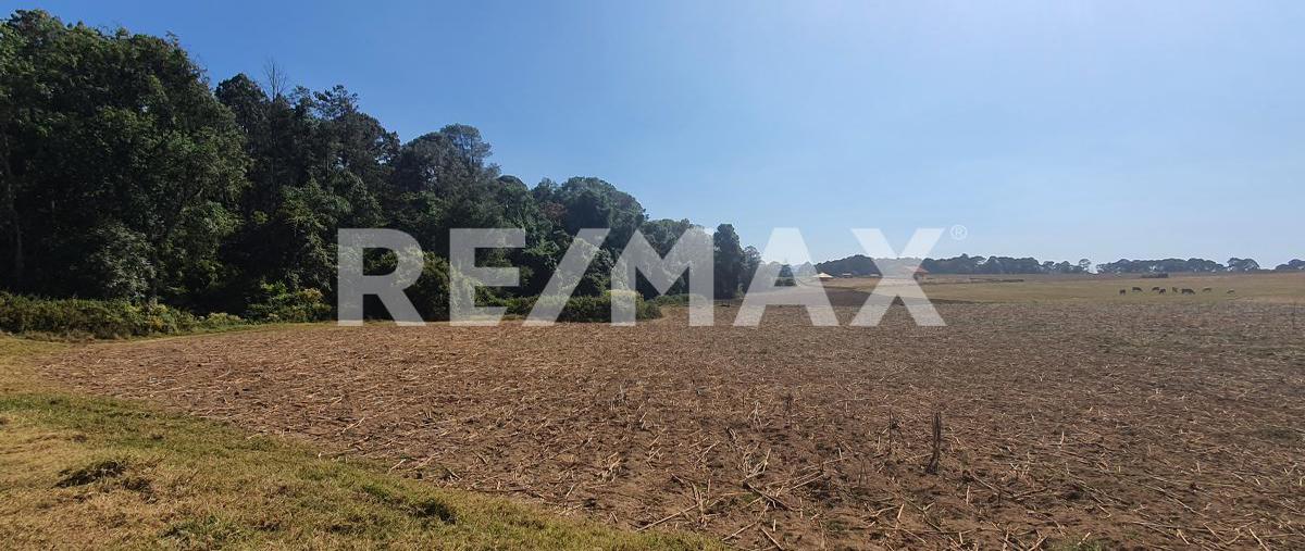 Foto de terreno habitacional en el castellano , valle de bravo, valle de bravo, méxico, 24685764 foto 02 Foto de terreno habitacional en venta en el castellano , valle de bravo, valle de bravo, méxico, 24685764 No. 02