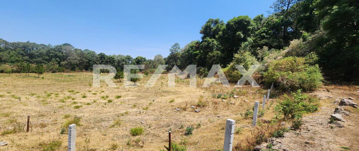Foto de terreno habitacional en el castellano , valle de bravo, valle de bravo, méxico, 28106667 foto 02 Foto de terreno habitacional en venta en el castellano , valle de bravo, valle de bravo, méxico, 28106667 No. 02