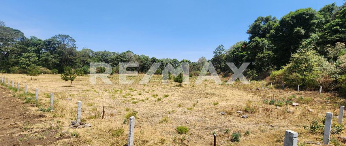 Foto de terreno habitacional en el castellano , valle de bravo, valle de bravo, méxico, 28106667 foto 03 Foto de terreno habitacional en venta en el castellano , valle de bravo, valle de bravo, méxico, 28106667 No. 03