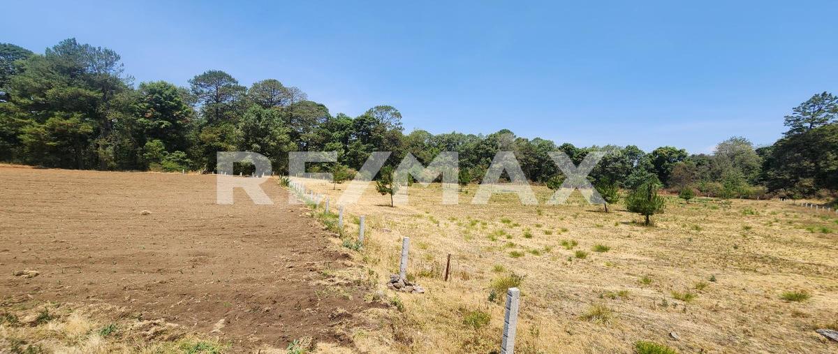 Foto de terreno habitacional en el castellano , valle de bravo, valle de bravo, méxico, 28106667 foto 04 Foto de terreno habitacional en venta en el castellano , valle de bravo, valle de bravo, méxico, 28106667 No. 04
