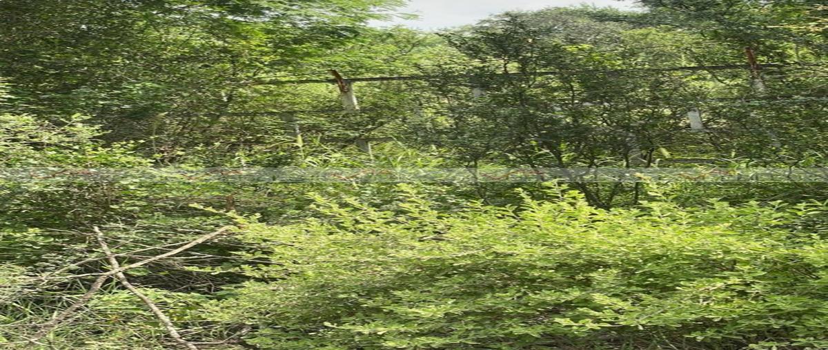 Foto de terreno comercial en el castillo , el castillo, cadereyta jiménez, nuevo león, 0 foto 02 Foto de terreno comercial en venta en el castillo , el castillo, cadereyta jiménez, nuevo león, 0 No. 02