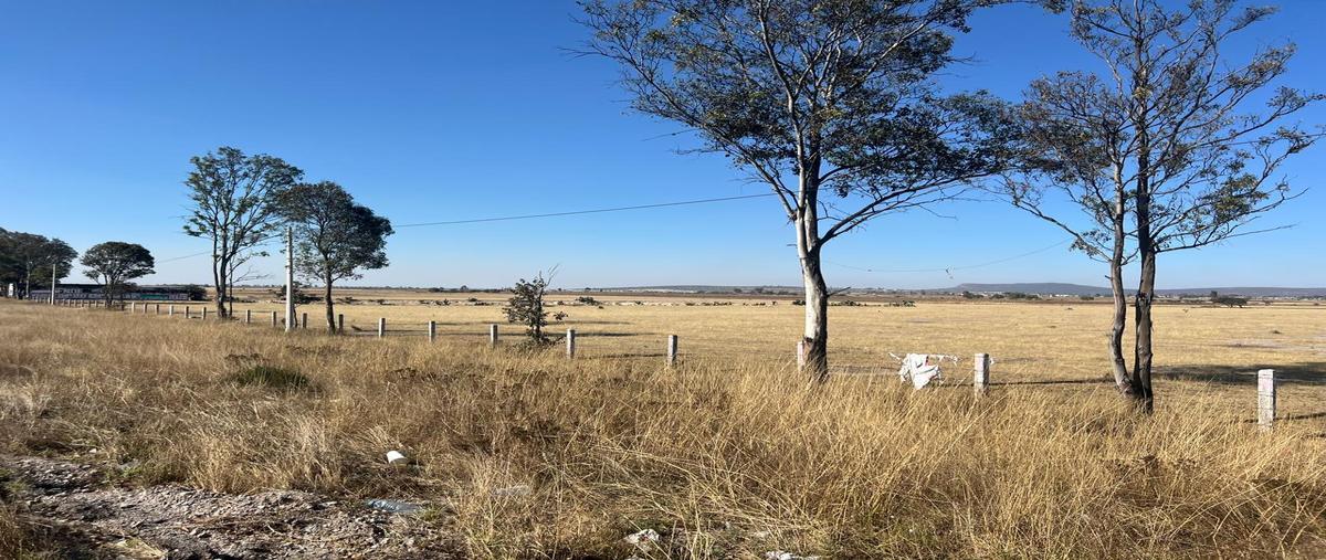 Foto de terreno habitacional en venta en  , el cazadero, san juan del río, querétaro, 0 No. 04