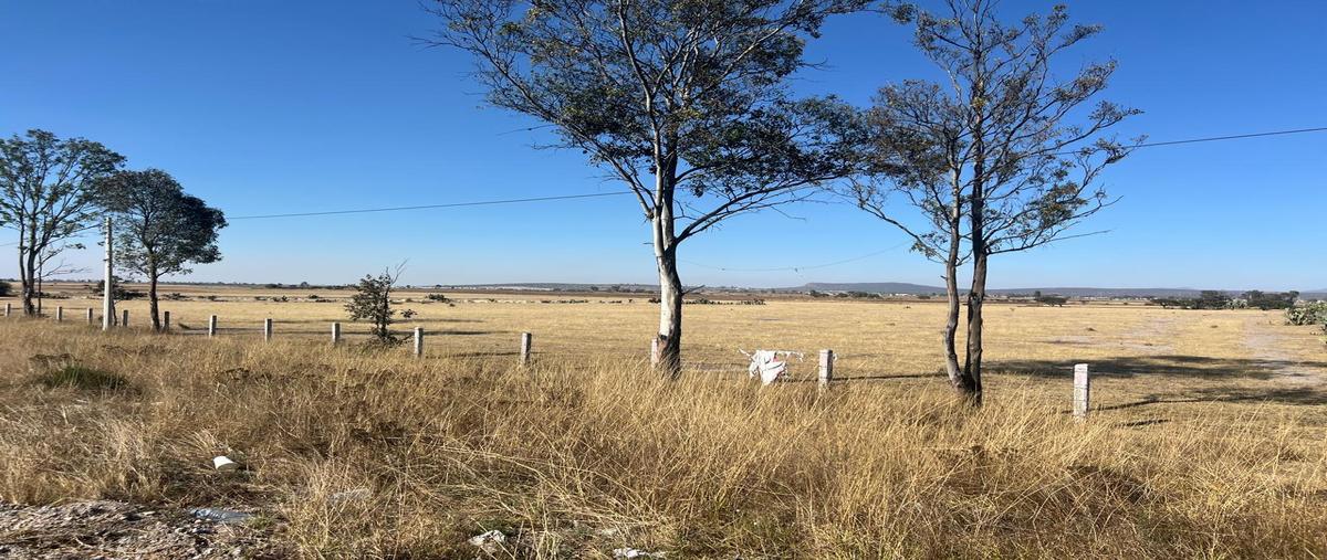 Foto de terreno habitacional en venta en  , el cazadero, san juan del río, querétaro, 0 No. 05