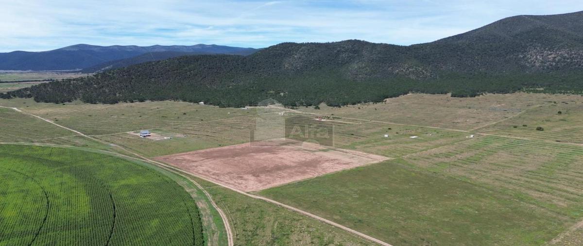 Foto de terreno comercial en el cedrito 11, el cedrito, arteaga, coahuila de zaragoza, 0 foto 01 Foto de terreno comercial en venta en el cedrito 11, el cedrito, arteaga, coahuila de zaragoza, 0 No. 01