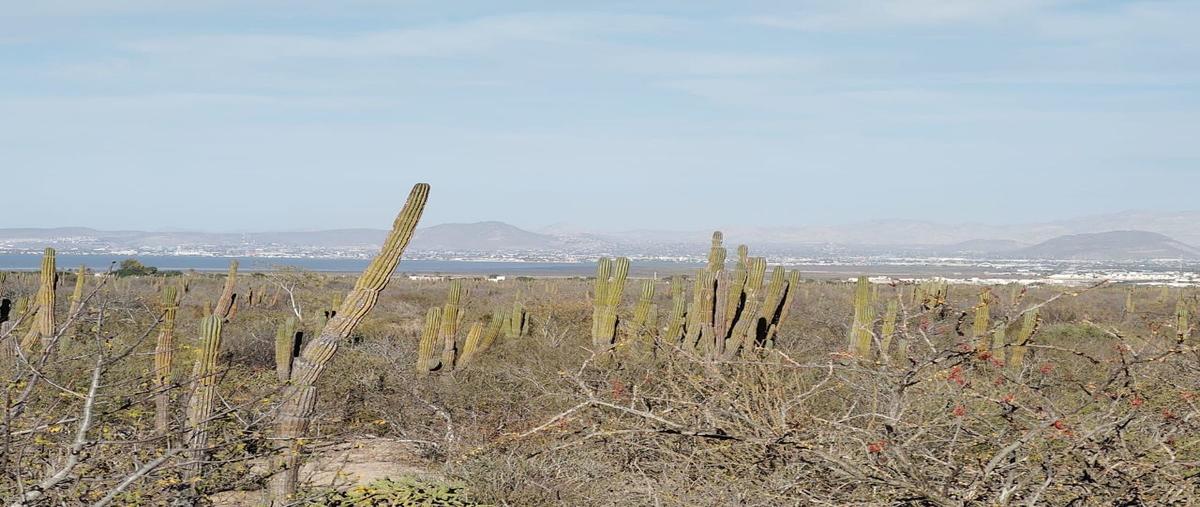 Foto de terreno habitacional en venta en  , el centenario, la paz, baja california sur, 27363811 No. 03