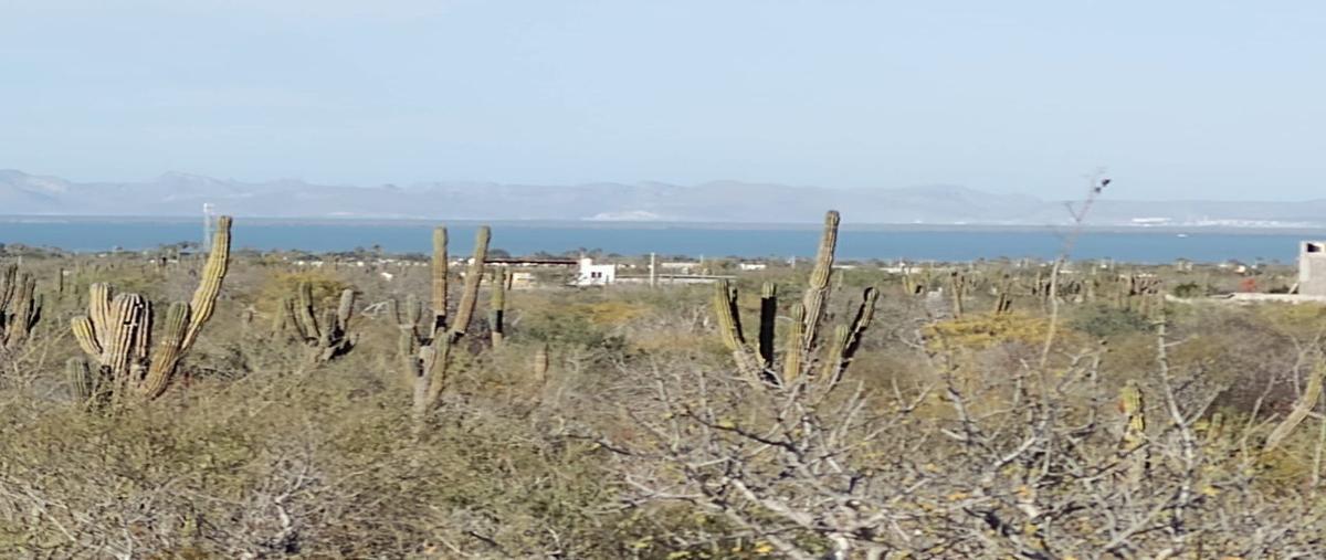 Foto de terreno habitacional en venta en  , el centenario, la paz, baja california sur, 27363811 No. 05