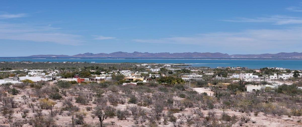 Foto de terreno habitacional en venta en  , el centenario, la paz, baja california sur, 27995852 No. 02