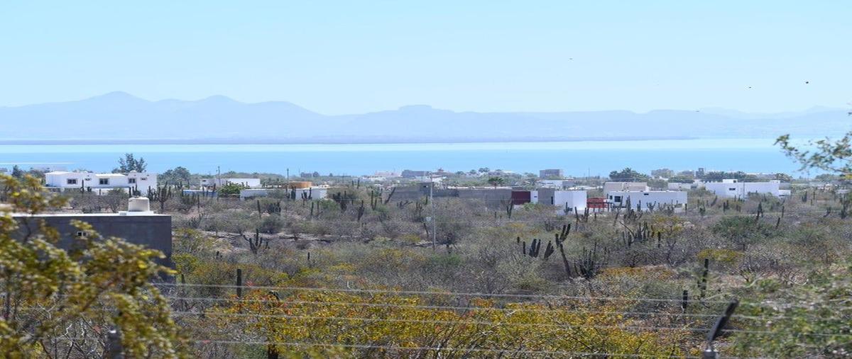 Foto de terreno habitacional en venta en  , el centenario, la paz, baja california sur, 28092461 No. 04