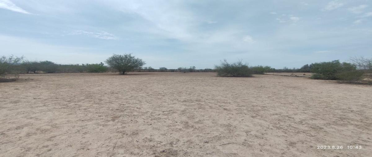 Foto de terreno habitacional en renta en  , el centenario, la paz, baja california sur, 0 No. 03